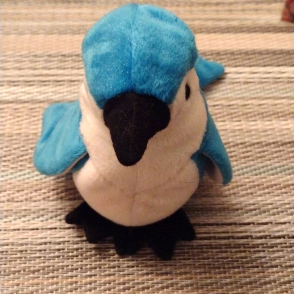 "Rocket" The Blue Jay